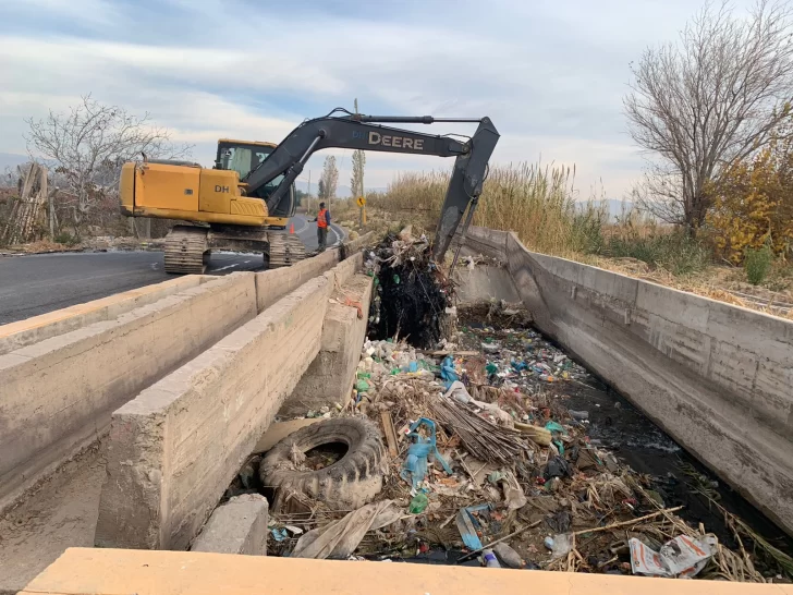 Las hortalizas y los cambios en los cultivos y los mercados Las hortalizas y los cambios en los cultivos y los mercados