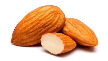 Alcanzan niveles récord Alcanzan niveles récord