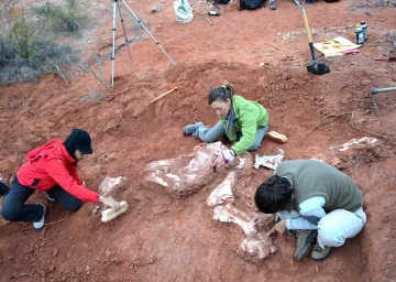 Panphagia, Eoraptor y otros grandes éxitos