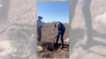 Abel Pintos plantará más de 6.000 árboles en la ciudad de Mercerdes