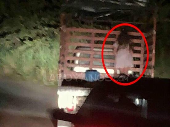 Captan a una supuesta niña fantasma: “Iba colgada de un camión” Captan a una supuesta niña fantasma: “Iba colgada de un camión”