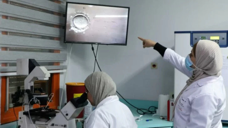 Una madre quiere eludir la legislación de su país y elegir el sexo de su bebé Una madre quiere eludir la legislación de su país y elegir el sexo de su bebé