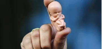 Presentan un proyecto para que los fetos sin vida tengan un “trato digno” Presentan un proyecto para que los fetos sin vida tengan un “trato digno”