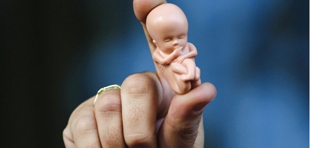 Presentan un proyecto para que los fetos sin vida tengan un “trato digno” Presentan un proyecto para que los fetos sin vida tengan un “trato digno”