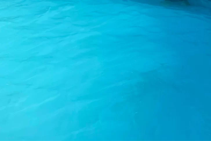 Con una foto aterradora advierten que los chicos no vayan vestidos de azul a natación Con una foto aterradora advierten que los chicos no vayan vestidos de azul a natación