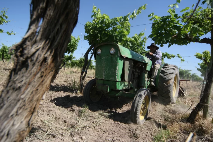 Tras endurecer penas, un joven fue el primer condenado por robar en una finca Tras endurecer penas, un joven fue el primer condenado por robar en una finca