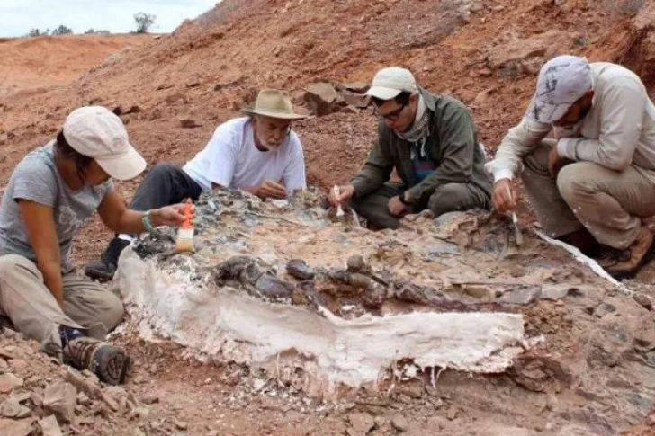 Gobierno pondrá $142 mil para extraer los fósiles de dinosaurios recientemente hallados