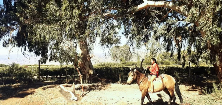 San Martín al galope San Martín al galope