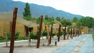 Mucho más que “Buena Vista” Mucho más que “Buena Vista”