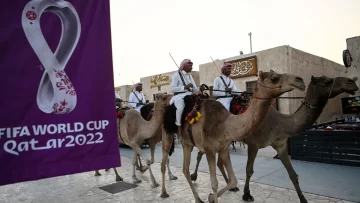 Tener contenido erótico en el celular será un problema para los hinchas en Qatar Tener contenido erótico en el celular será un problema para los hinchas en Qatar