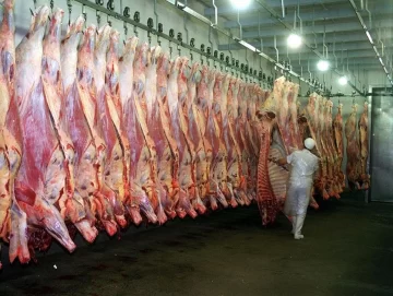 Frenarán las exportaciones de los frigoríficos que no cumplan con los acuerdos de precios Frenarán las exportaciones de los frigoríficos que no cumplan con los acuerdos de precios