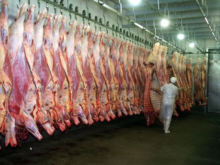 Frenarán las exportaciones de los frigoríficos que no cumplan con los acuerdos de precios Frenarán las exportaciones de los frigoríficos que no cumplan con los acuerdos de precios