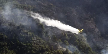 Alarman incendios forestales en Neuquén, Río Negro y Chubut