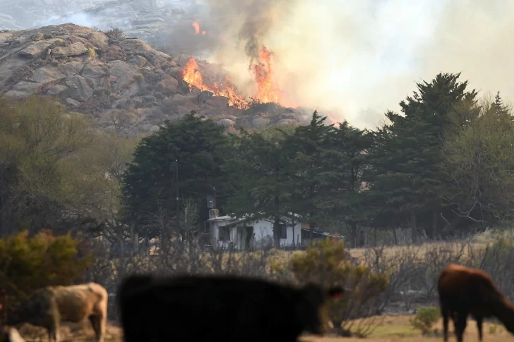 Alarman incendios forestales en Neuquén, Río Negro y Chubut