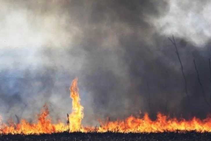 Cinco provincias continúan con “focos activos” de incendios forestales