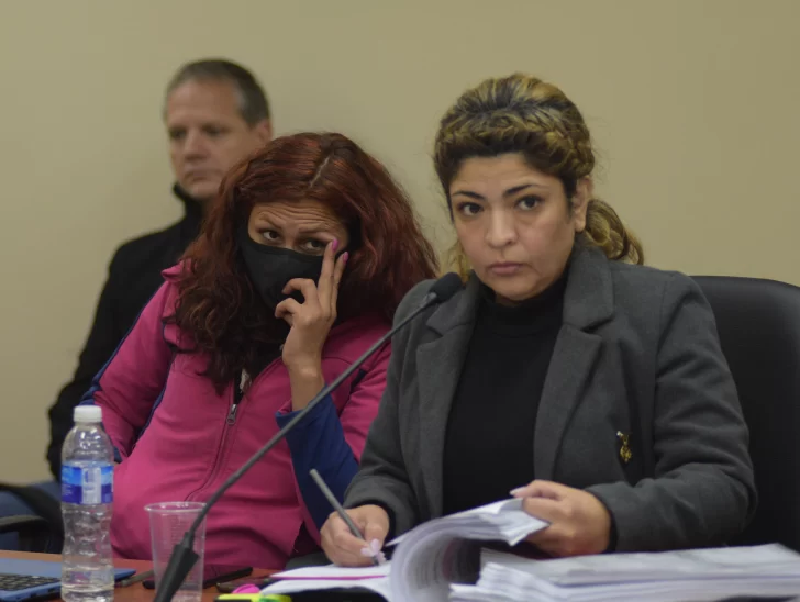 Pidieron 15 años para la mujer que mató de un ladrillazo a su ex Pidieron 15 años para la mujer que mató de un ladrillazo a su ex