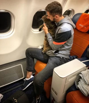 Mintió para poder viajar con su enorme gato en un avión Mintió para poder viajar con su enorme gato en un avión
