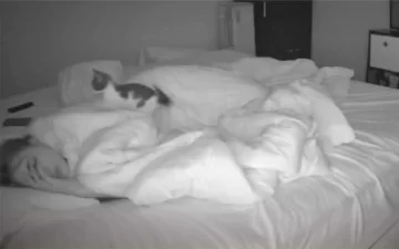 Puso una cámara para ver lo que hacía su gato mientras dormía y el video se volvió viral
