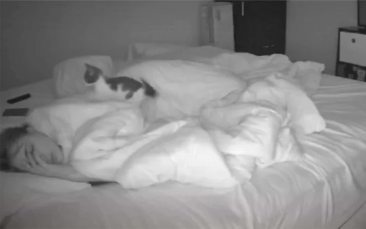 Puso una cámara para ver lo que hacía su gato mientras dormía y el video se volvió viral