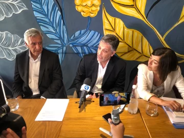 Dos Gioja pidieron la inconstitucionalidad de la eliminación de las PASO Dos Gioja pidieron la inconstitucionalidad de la eliminación de las PASO