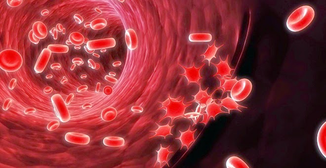Advierten sobre la HPN, una patología poco frecuente que impacta en la calidad de vida