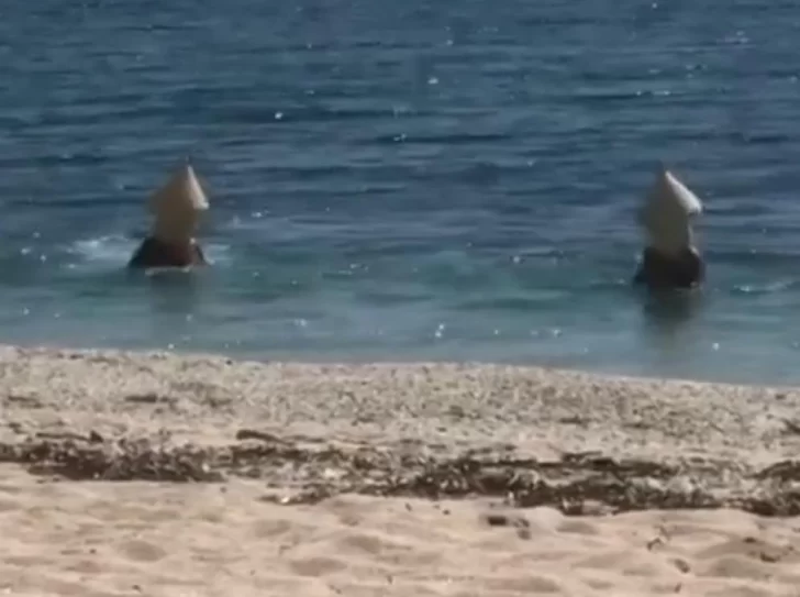 Violaron la cuarentena para ir al mar disfrazados de boyas Violaron la cuarentena para ir al mar disfrazados de boyas