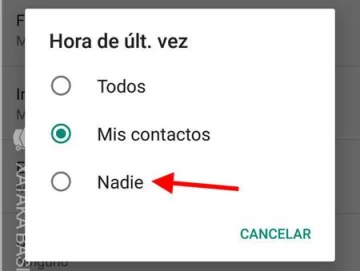 WhatsApp: así podés elegir qué contactos pueden ver tu última conexión en la app WhatsApp: así podés elegir qué contactos pueden ver tu última conexión en la app