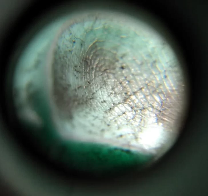 Presentan un método sanjuanino para identificar rápidamente cuerpos sumergidos Presentan un método sanjuanino para identificar rápidamente cuerpos sumergidos