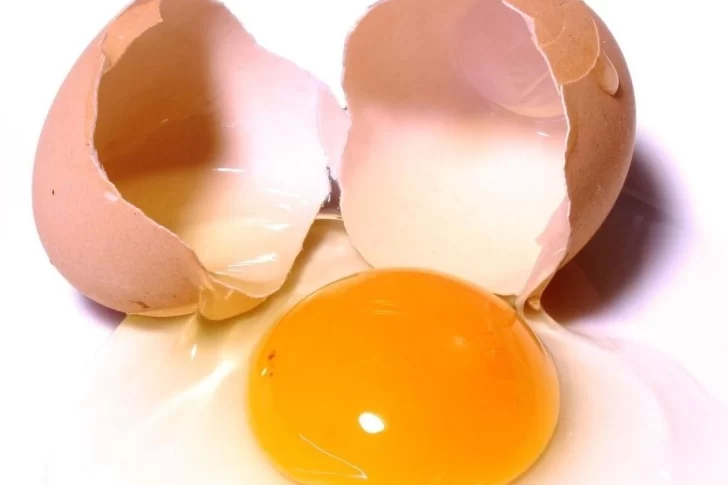 Trucos útiles: cómo saber si un huevo está malo o es fresco