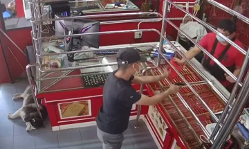 Simuló un robo para saber cómo reaccionaría su perro: el resultado lo asombró Simuló un robo para saber cómo reaccionaría su perro: el resultado lo asombró