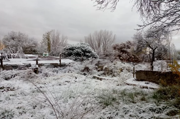 Nieve en Iglesia y hielo en El Colorado, los efectos del frente subpolar en San Juan