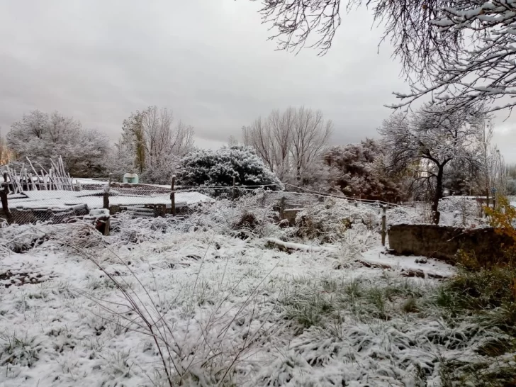 Nieve en Iglesia y hielo en El Colorado, los efectos del frente subpolar en San Juan Nieve en Iglesia y hielo en El Colorado, los efectos del frente subpolar en San Juan