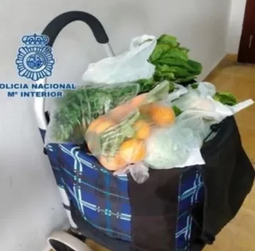 Un niño palestino intentó pasar la frontera escondido en un carrito con verduras Un niño palestino intentó pasar la frontera escondido en un carrito con verduras