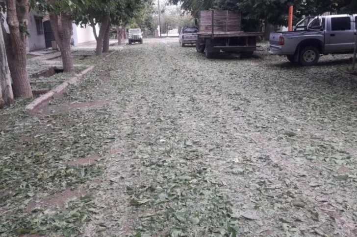 El granizo provocó importantes daños en departamentos de Mendoza