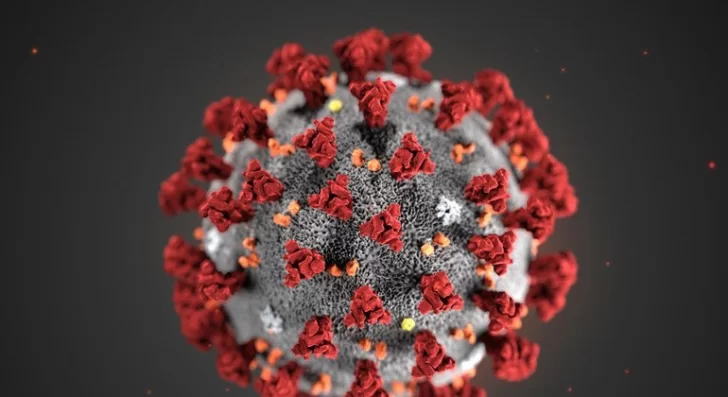 Las muertes por coronavirus en el mundo disminuyeron casi 90% desde enero Las muertes por coronavirus en el mundo disminuyeron casi 90% desde enero