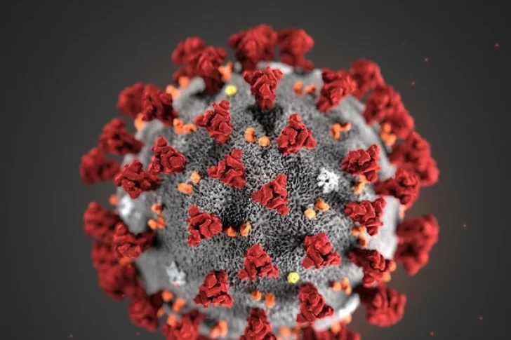 Las muertes por coronavirus en el mundo disminuyeron casi 90% desde enero