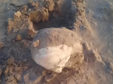 Estiman que en 15 días se podría saber si el cráneo encontrado en Ullum pertenece a Tellechea Estiman que en 15 días se podría saber si el cráneo encontrado en Ullum pertenece a Tellechea