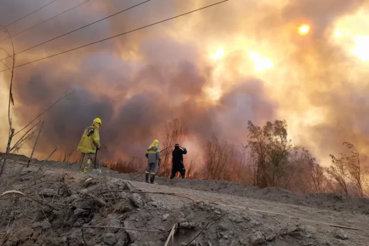 Revelan el impacto que originó el fuego en el Parque Sarmiento que arrasó con casi 40 ha