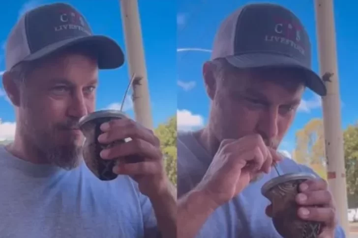 Ragnar, de Vikingos, probó el mate y su reacción se volvió viral