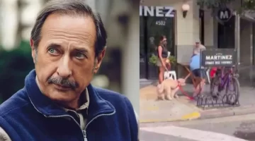 El enojo de Guillermo Francella luego de ser mordido por un perro en la calle El enojo de Guillermo Francella luego de ser mordido por un perro en la calle