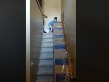 Construyó un tobogán de cartón para que sus hijos no salgan de casa en cuarentena Construyó un tobogán de cartón para que sus hijos no salgan de casa en cuarentena