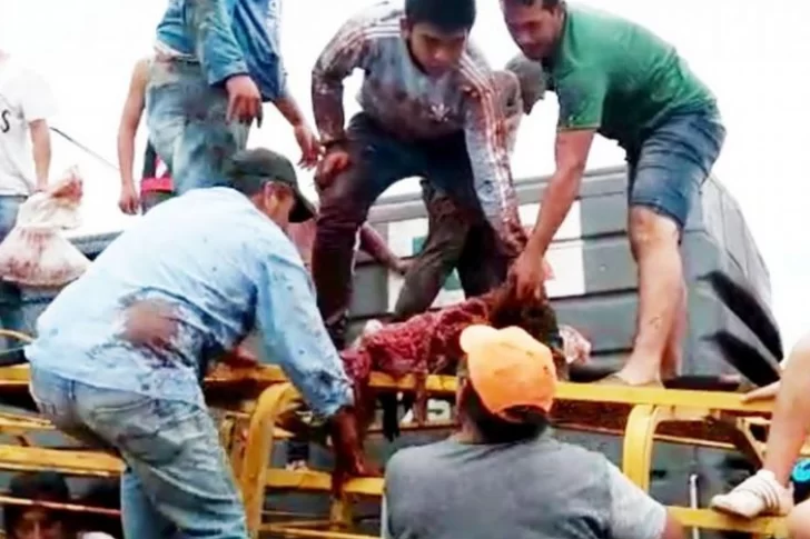 Un tren chocó un camión con vacas y vecinos las faenaron