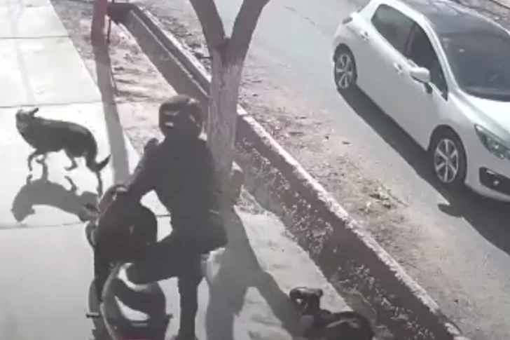 [VIDEOS] Alerta por motochorros que atacan en una parada de colectivo a plena luz del día
