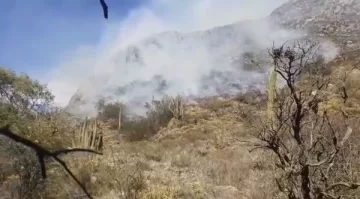 Otra vez, incendios forestales afectan a Valle Fértil: un helicóptero trabaja en el lugar Otra vez, incendios forestales afectan a Valle Fértil: un helicóptero trabaja en el lugar