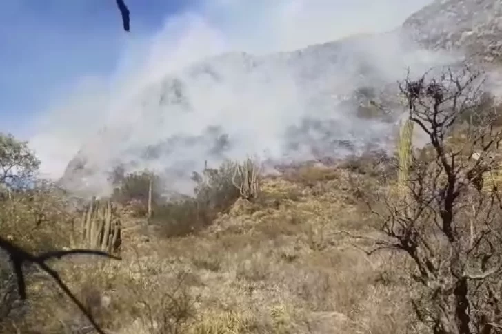 Otra vez, incendios forestales afectan a Valle Fértil: un helicóptero trabaja en el lugar