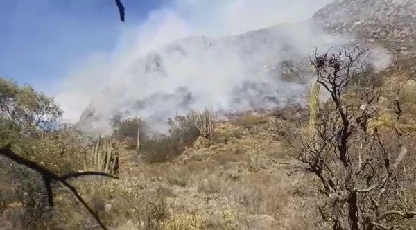 Otra vez, incendios forestales afectan a Valle Fértil: un helicóptero trabaja en el lugar Otra vez, incendios forestales afectan a Valle Fértil: un helicóptero trabaja en el lugar