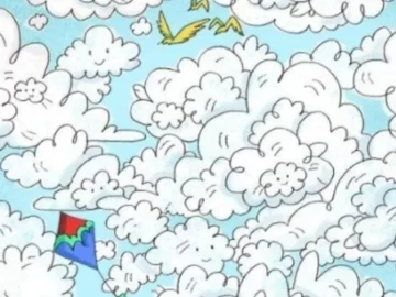 El desafío de encontrar una oveja en medio de las nubes: tenés sólo 10 segundos El desafío de encontrar una oveja en medio de las nubes: tenés sólo 10 segundos