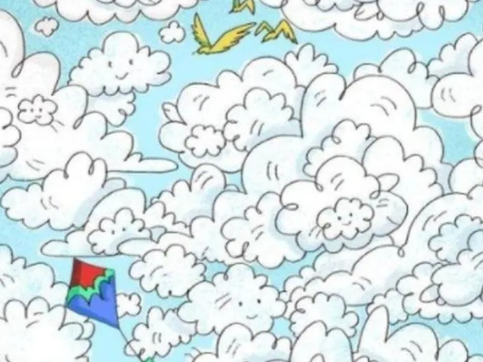 El desafío de encontrar una oveja en medio de las nubes: tenés sólo 10 segundos El desafío de encontrar una oveja en medio de las nubes: tenés sólo 10 segundos