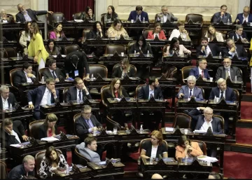 La diputada que enfrenta un cáncer de mama fue a sesionar y emocionó a todos La diputada que enfrenta un cáncer de mama fue a sesionar y emocionó a todos