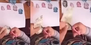 La tarea más cara: una niña recortó próceres de los billetes para un trabajo práctico